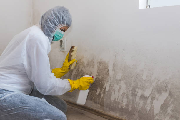 Best Mold Testing  in Richmond, UT