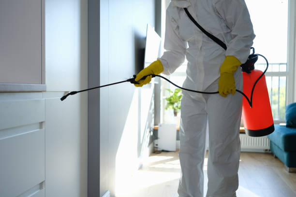 Best Mold Inspection  in Richmond, UT