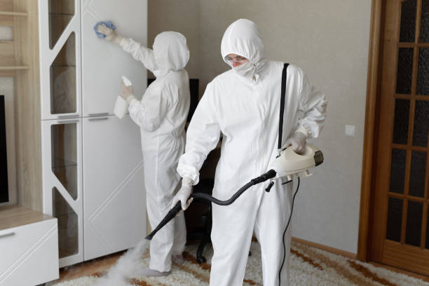 Best Mold Testing  in Richmond, UT