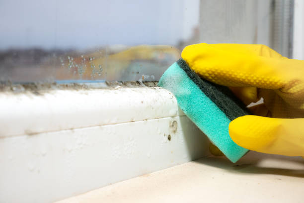 Best Office Mold Removal Services  in Richmond, UT